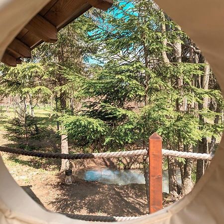 Готель Medve Dome - Luxury Camping In The Middle Of Nature Влехіца Екстер'єр фото