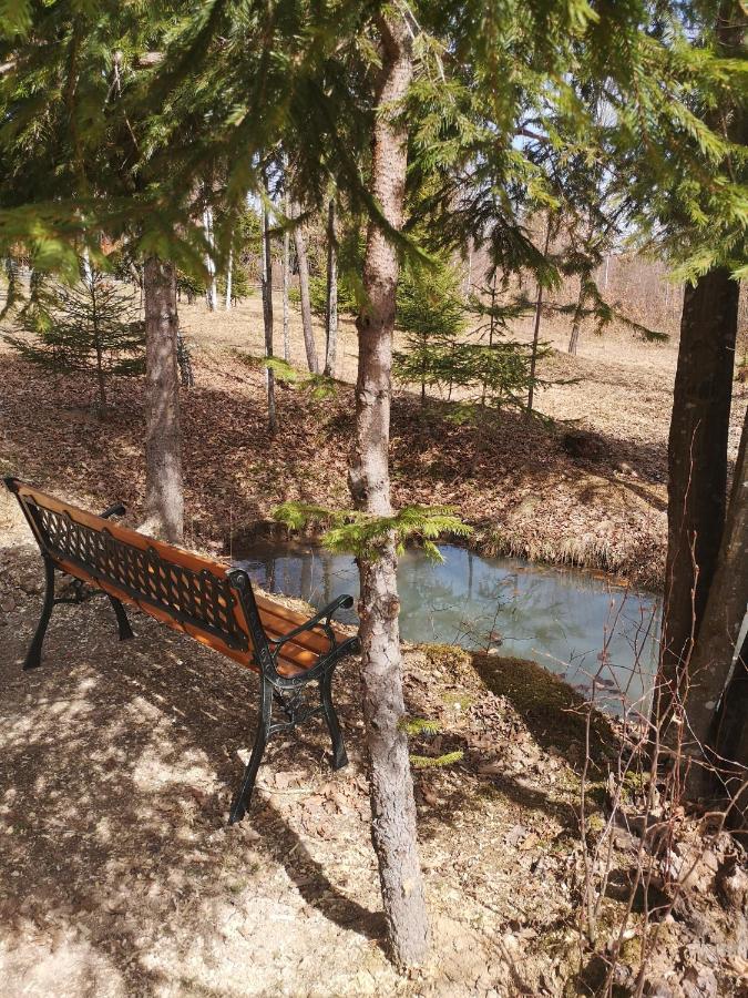 Готель Medve Dome - Luxury Camping In The Middle Of Nature Влехіца Екстер'єр фото